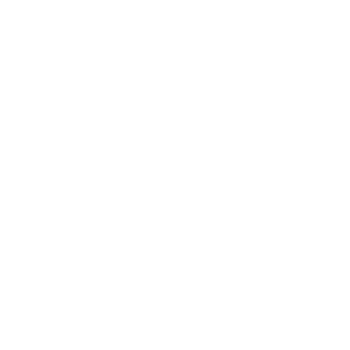 Creating-Opportunity-through-Skills-Development-icon